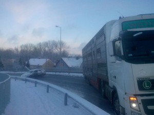 IMG 20161203 082550